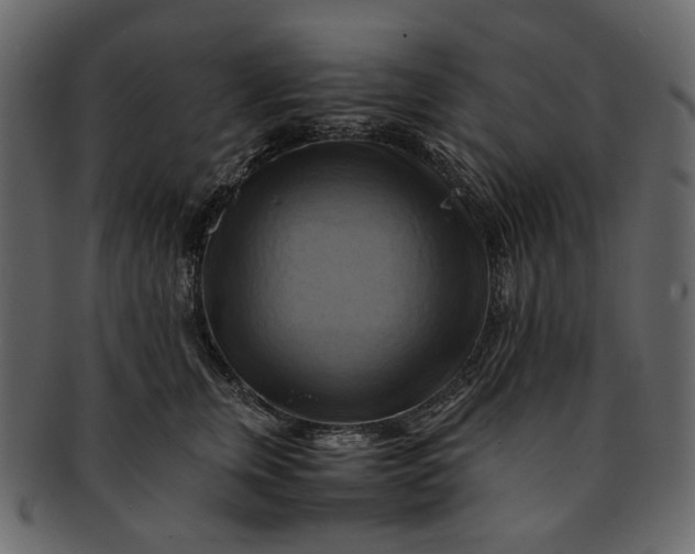 X0000093240759200710171441