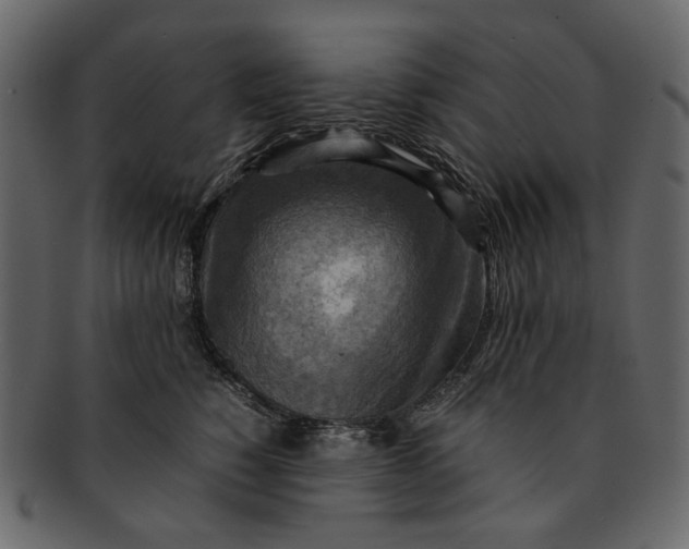 X0000093240760200710171441