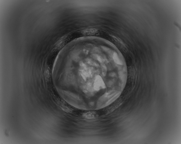 X0000093240761200710171441