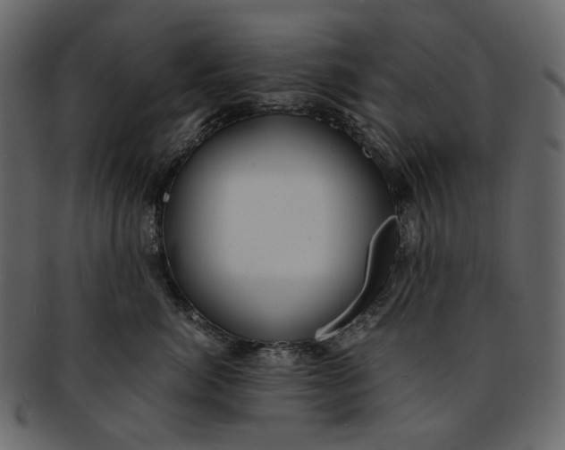 X0000093240764200710171441