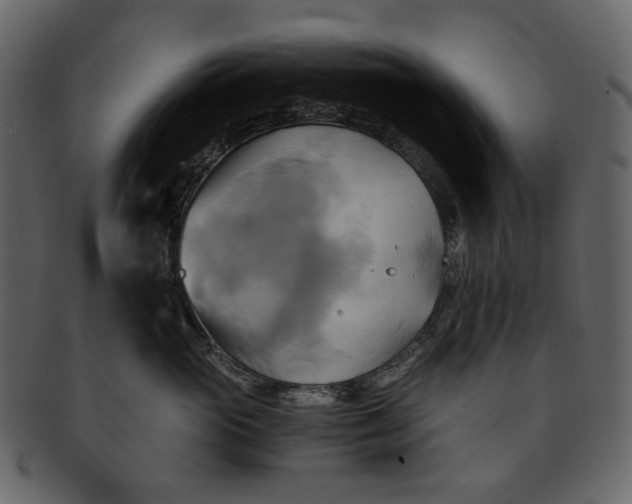 X0000093240765200710171441