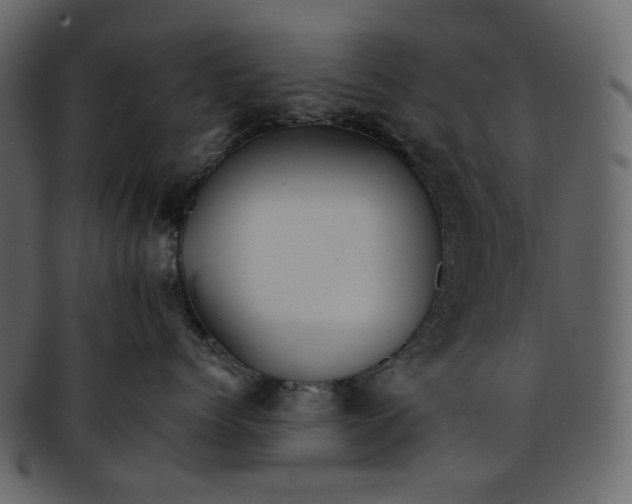 X0000093240768200710171441