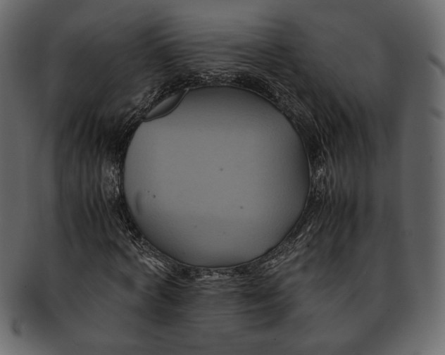 X0000093240772200710171440