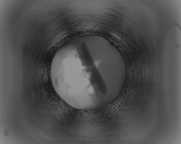 X0000093240774200710171440