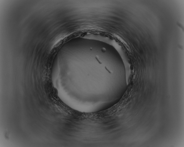 X0000093240775200710171440