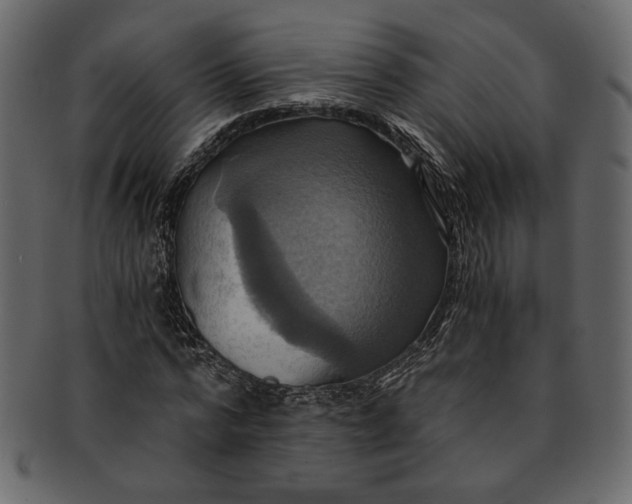 X0000093240776200710171440