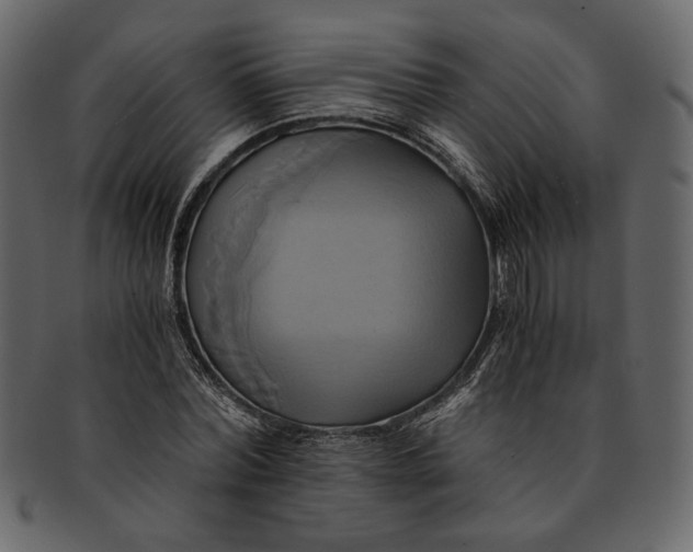 X0000093240780200710171440