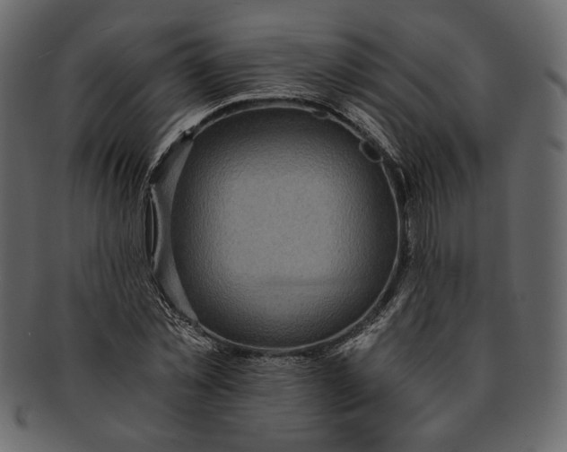 X0000093240781200710171440