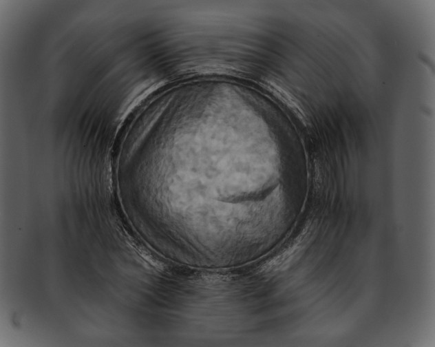 X0000093240782200710171440