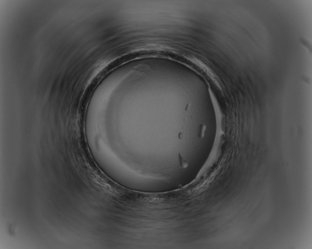 X0000093240783200710171440