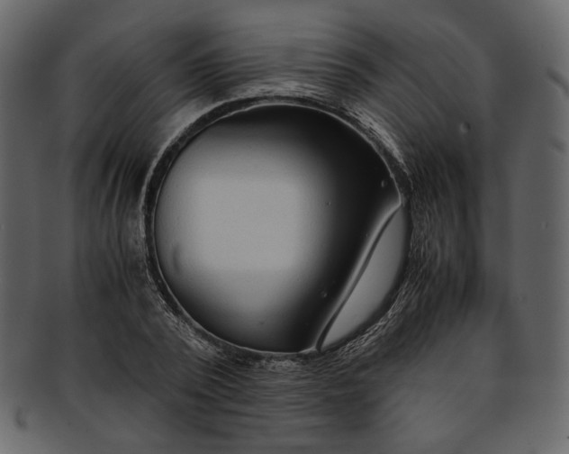 X0000093240784200710171440