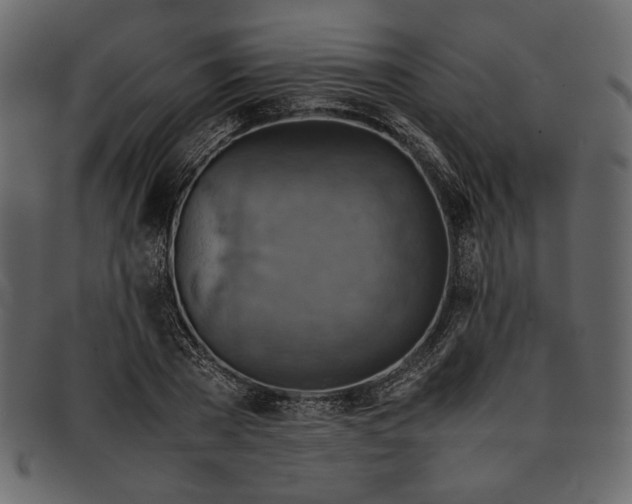 X0000093240785200710171440