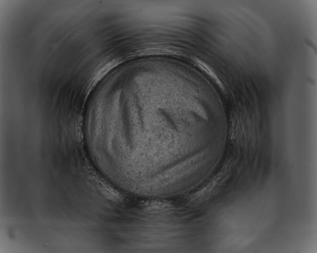 X0000093240786200710171440