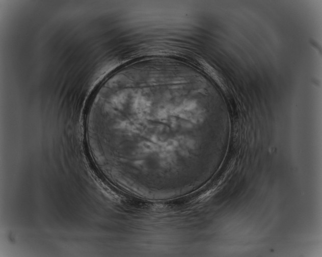 X0000093240787200710171440