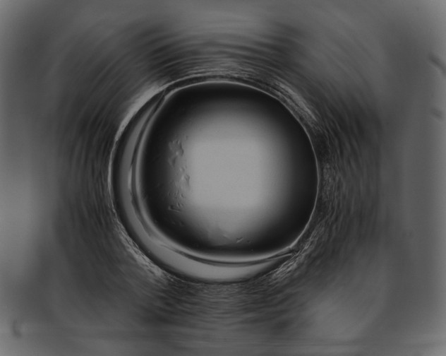 X0000093240788200710171440