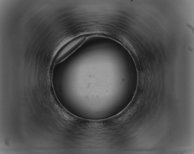 X0000093240789200710171440