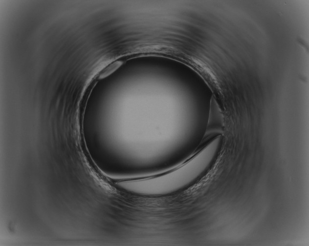 X0000093240792200710171440