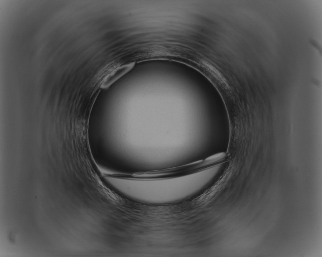 X0000093240793200710171440