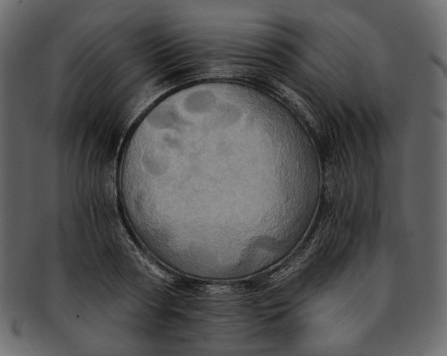 X0000093240794200710171440