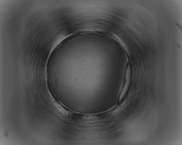 X0000093240795200710171440