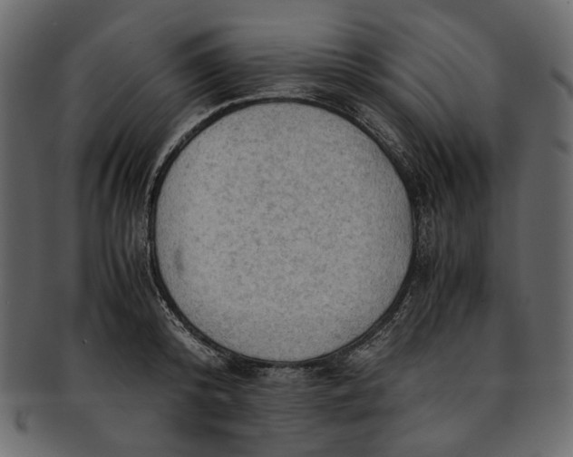 X0000093240800200710171440