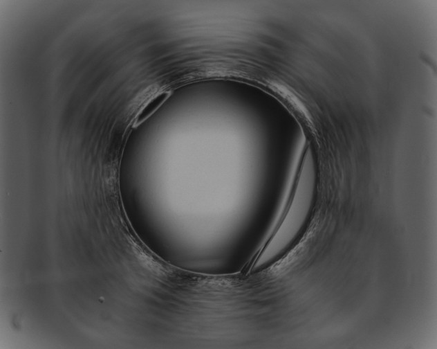 X0000093240801200710171440