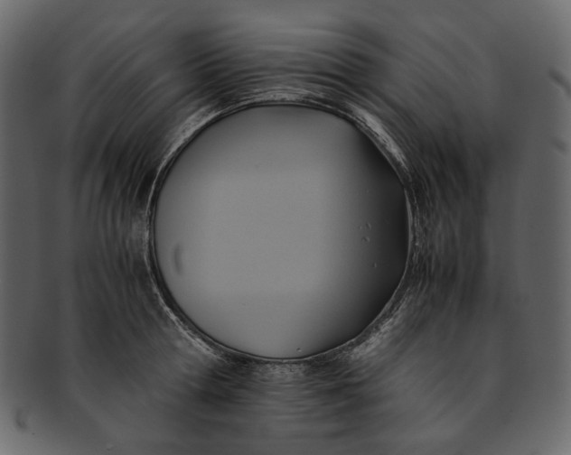 X0000093240802200710171439