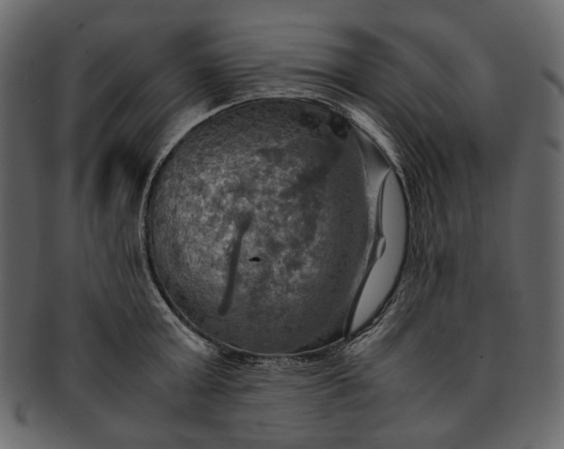 X0000093240803200710171439