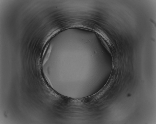 X0000093240806200710171439