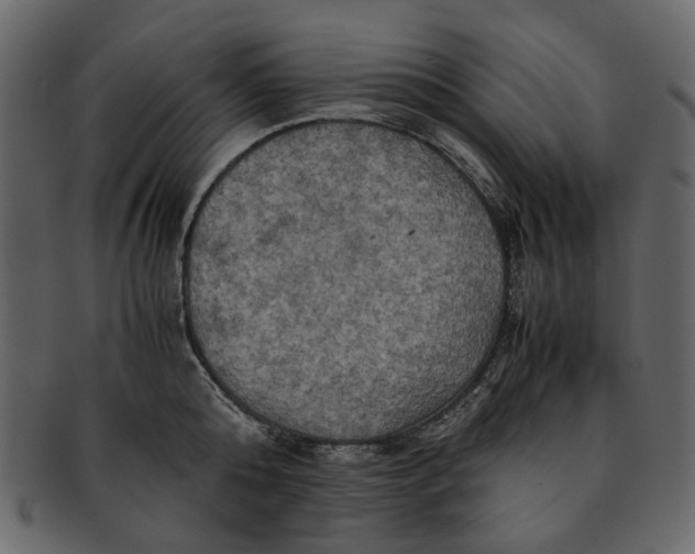 X0000093240808200710171439