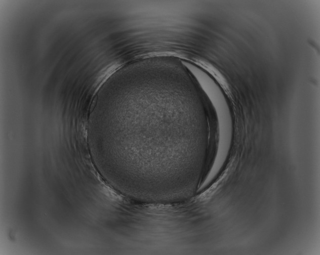 X0000093240809200710171439