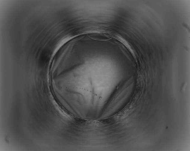 X0000093240811200710171439