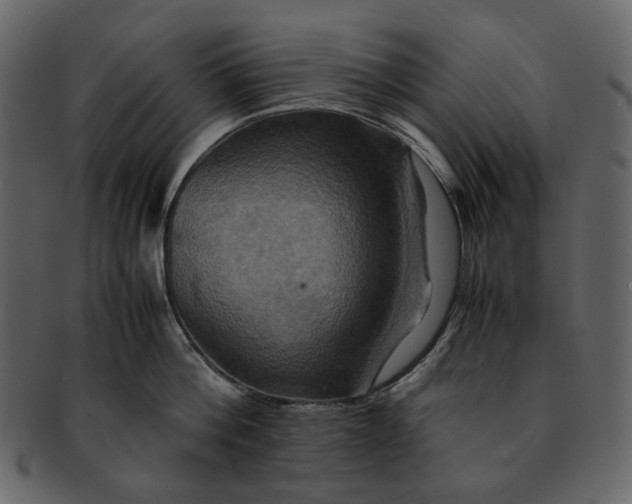 X0000093240812200710171439