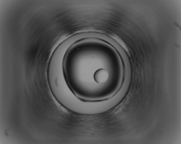 X0000093240813200710171439