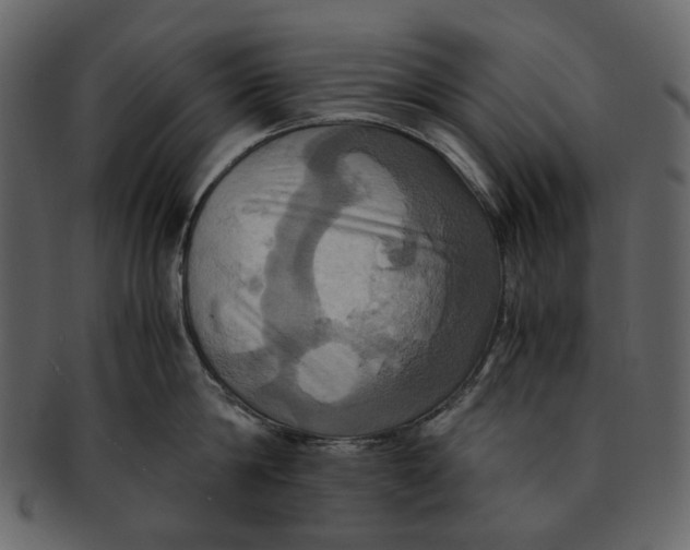 X0000093240814200710171439