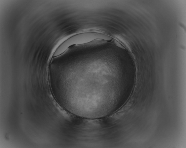 X0000093240816200710171439