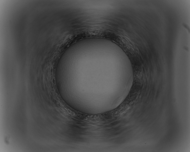 X0000093240817200710171439