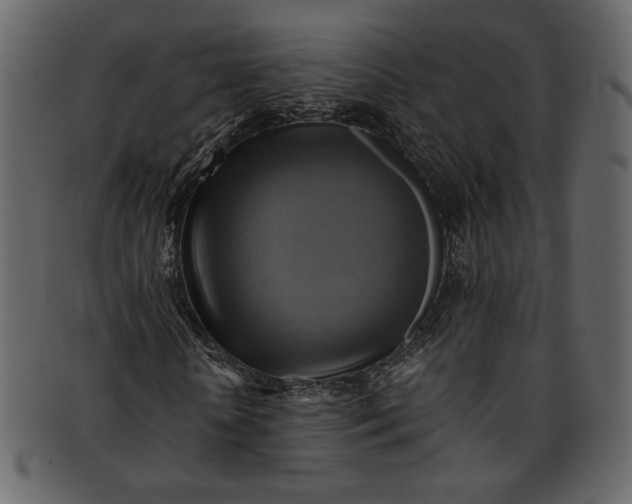 X0000093240818200710171439