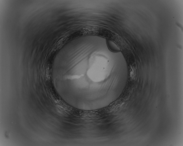 X0000093240819200710171439