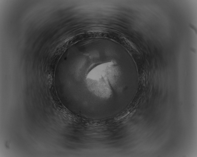 X0000093240821200710171439