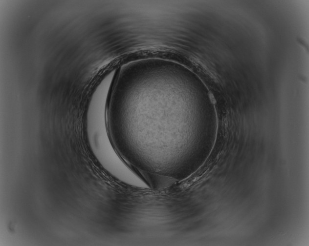 X0000093240822200710171439