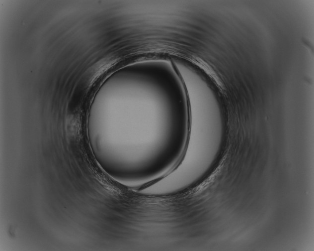 X0000093240826200710171439