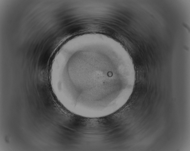 X0000093240828200710171439