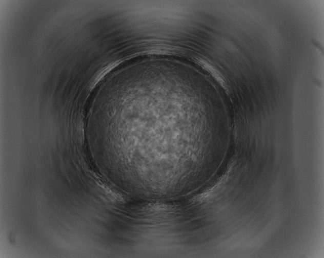 X0000093240829200710171439