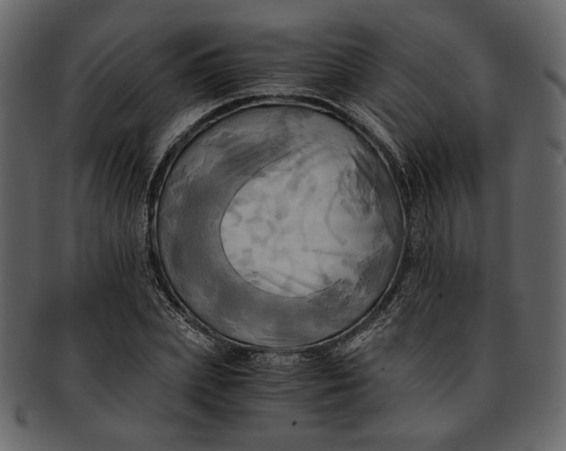 X0000093240831200710171439