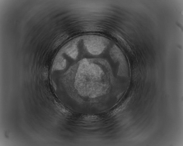 X0000093240833200710171439