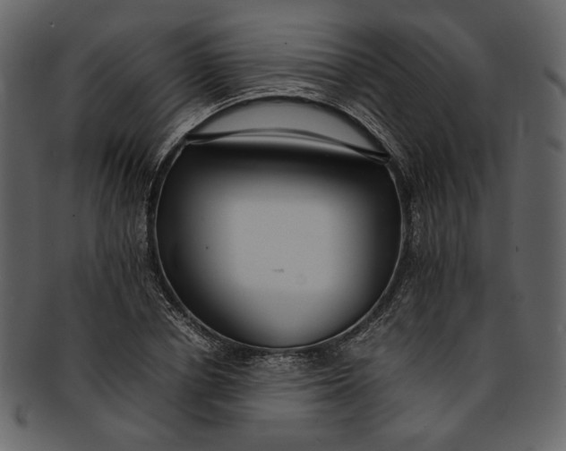 X0000093240834200710171439