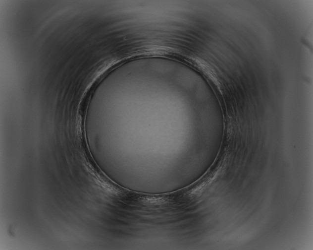 X0000093240835200710171439