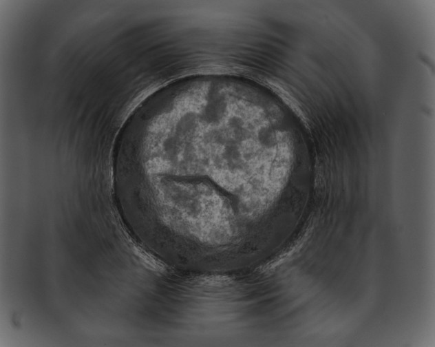 X0000093240837200710171439