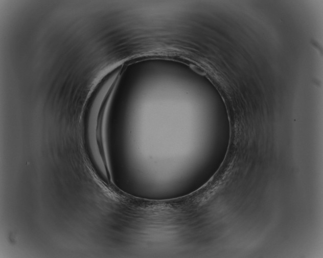 X0000093240838200710171439